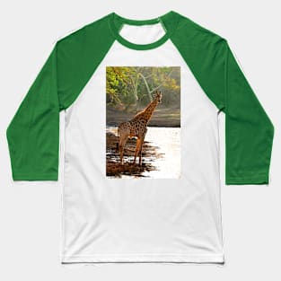 Giraffe Zulu Nyala Game Reserve South Africa Baseball T-Shirt